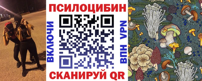 закладка Кремёнки Псилоцибиновые грибы Psilocybine cubensis
